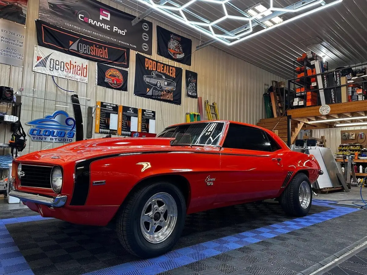 paint protection film for cars